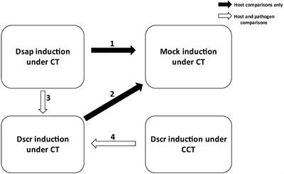 Mechanisms of Pine Disease Susceptibility Under Experimental Climate Change